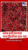 आवक कमी झाल्याने लाल मिरचीला साडेतीनशे ते साडेपाचशे रुपये किलोचा भाव.