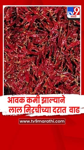 आवक कमी झाल्याने लाल मिरचीला साडेतीनशे ते साडेपाचशे रुपये किलोचा भाव