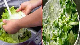 पालेभाज्या शिजवण्यापूर्वी 'या' गोष्टी आठवणीत कराच....