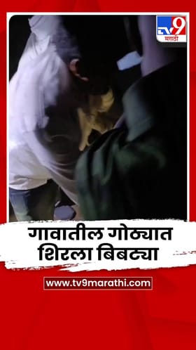 बिबट्या थेट गावातील गोठ्यात शिरला; बेशुद्ध करण्यासाठी वनविभागाकडे नव्हती औषधं