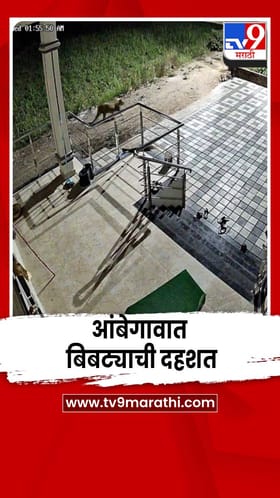 आंबेगावात बिबट्याची दहशत; सीसीटीव्ही कॅमेरात कैद