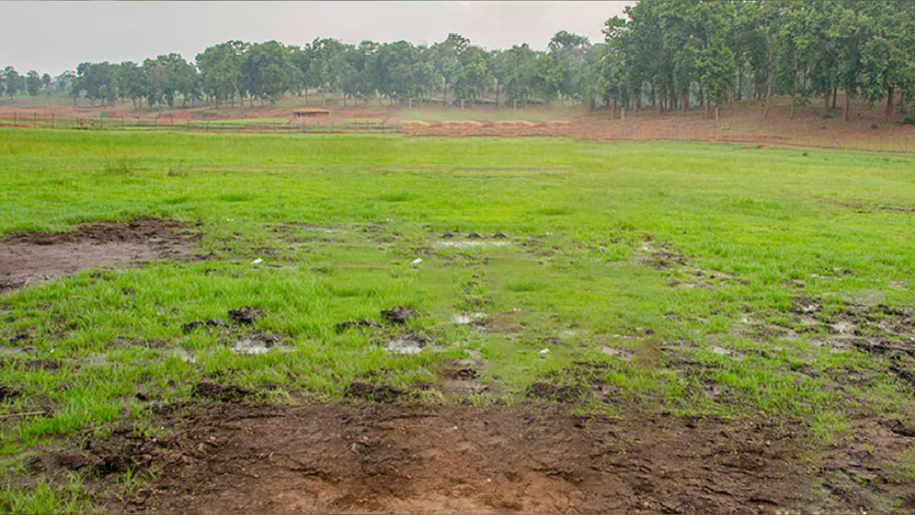 याशिवाय, तिथे अनेक पर्यटनस्थळे आहेत. येथे मोठ्या प्रमाणावर तिबेटी समुदायही राहतो.