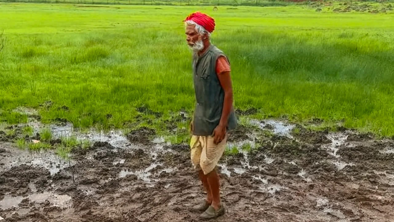 शांतता, निसर्गसौंदर्य आणि अनोख्या अनुभवासाठी मैनपाट हे ठिकाण पर्यटकांसाठी खास आकर्षण ठरत आहे.