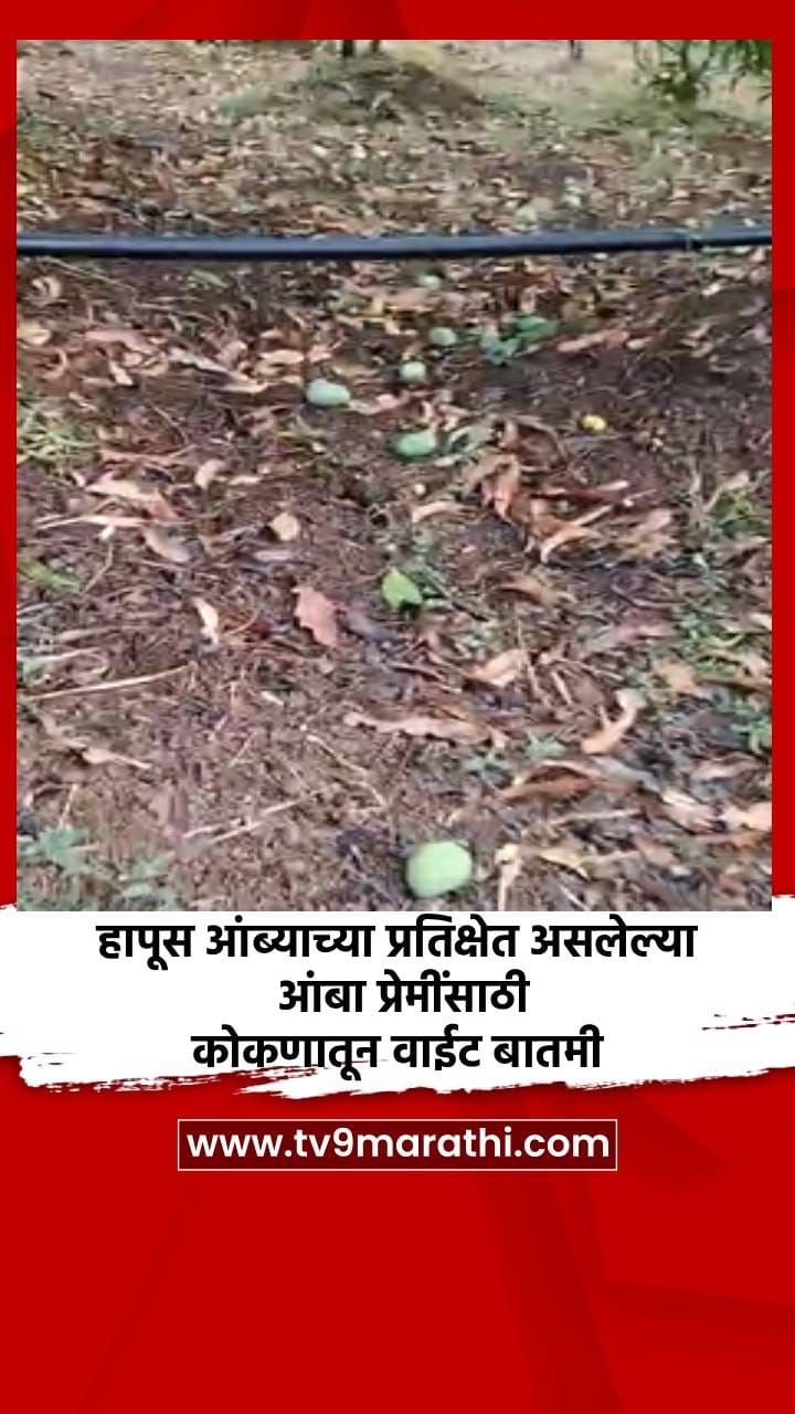 हापूस आंब्याच्या प्रतिक्षेत असलेल्या आंबा प्रेमींसाठी कोकणातून वाईट बातमी