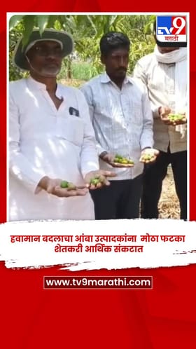 हवामान बदलाचा आंबा उत्पादकांना  मोठा फटका, शेतकरी आर्थिक संकटात