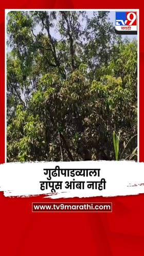 सिंधुदुर्ग : यावर्षी गुढीपाडव्याला हापूस आंबा नाही