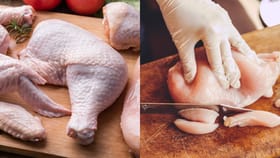 चिकन, मटण ताजं आहे की शिळं? ही एक गोष्ट तपासल्याशिवाय पैसे देऊ नका.