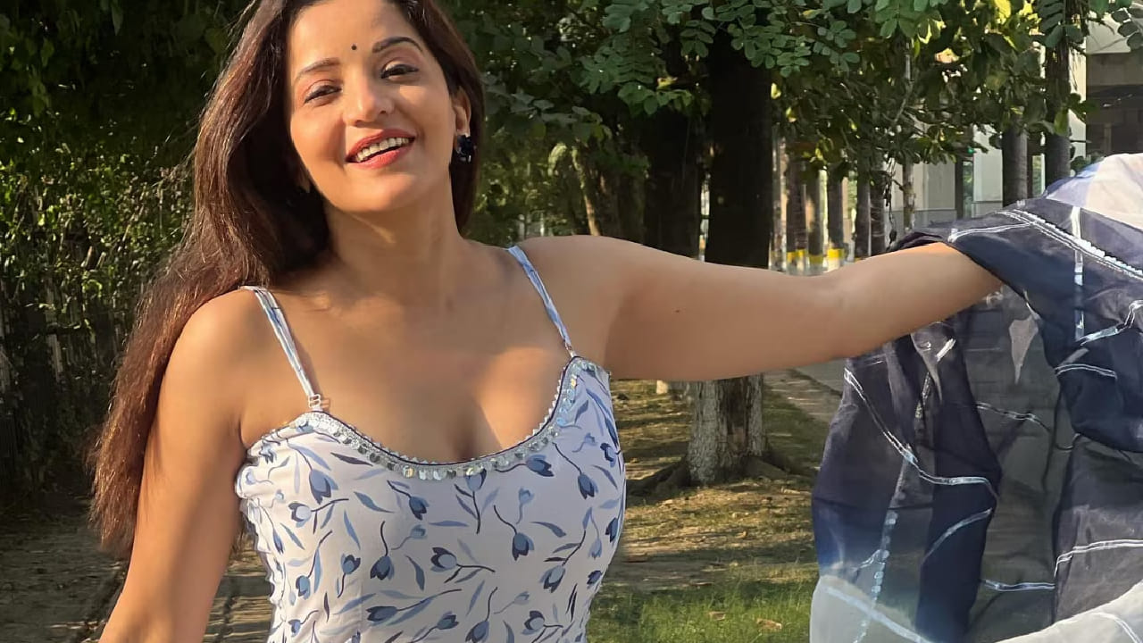 एका मुलाखतीत बोलताना तिने बी-ग्रेड चित्रपटांमध्ये काम करताना घडलेल्या काही घटनांचा उल्लेख केला. मोनालिसाने एका मुलाखतीत सांगितले की, कधी कधी इंटीमेट सीन शूट करताना काही अभिनेत्यांचे वागणे विचित्र होते. 