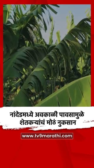 नांदेडमध्ये अवकाळी पावसामुळे शेतकऱ्यांचं मोठं नुकसान