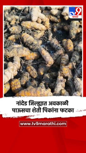 नांदेड जिल्ह्यात अवकाळी पावसाचा शेती पिकांना फटका