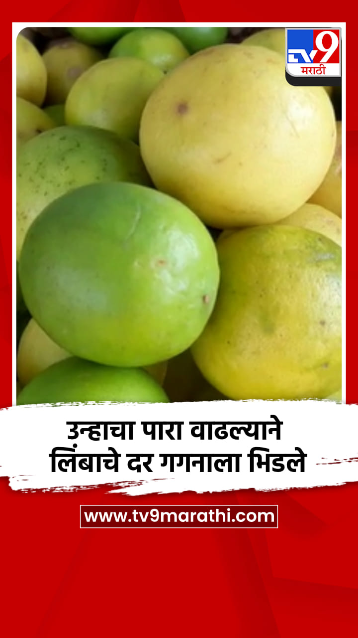 नंदुरबारत उन्हाचा पारा वाढल्याने लिंबाचे दर गगनाला भिडले