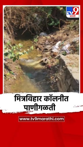 येवला शहरात मोठ्या प्रमाणात पाणी गळती