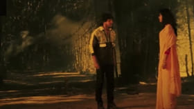 तब्बल 550वेळा थिएटरमध्ये री-रिलीज झाला हा चित्रपट, 'शोले'ला टाकले मागे.