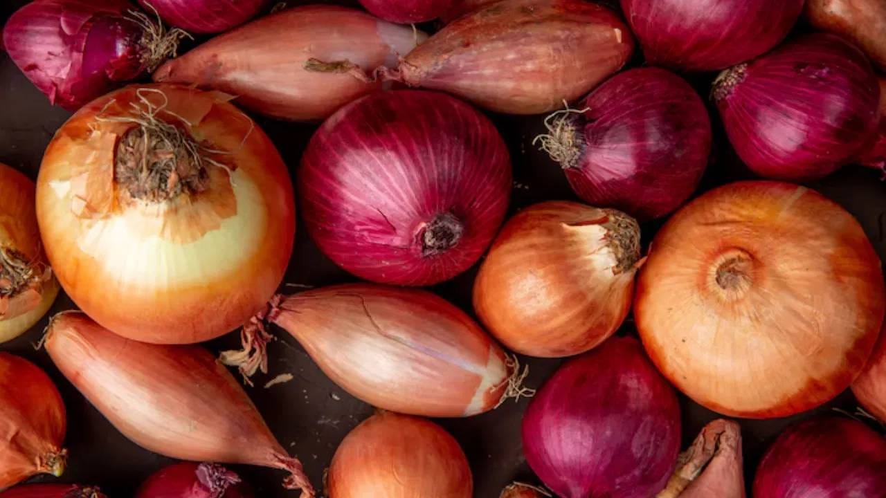  फोलेट पेशी निर्मिती आणि डीएनए विकासात महत्त्वाची भूमिका बजावते. यामुळे आपल्या दररोजच्या आहारात कच्च्या कांद्याचा समावेश करणे फायदेशीर ठरते. 