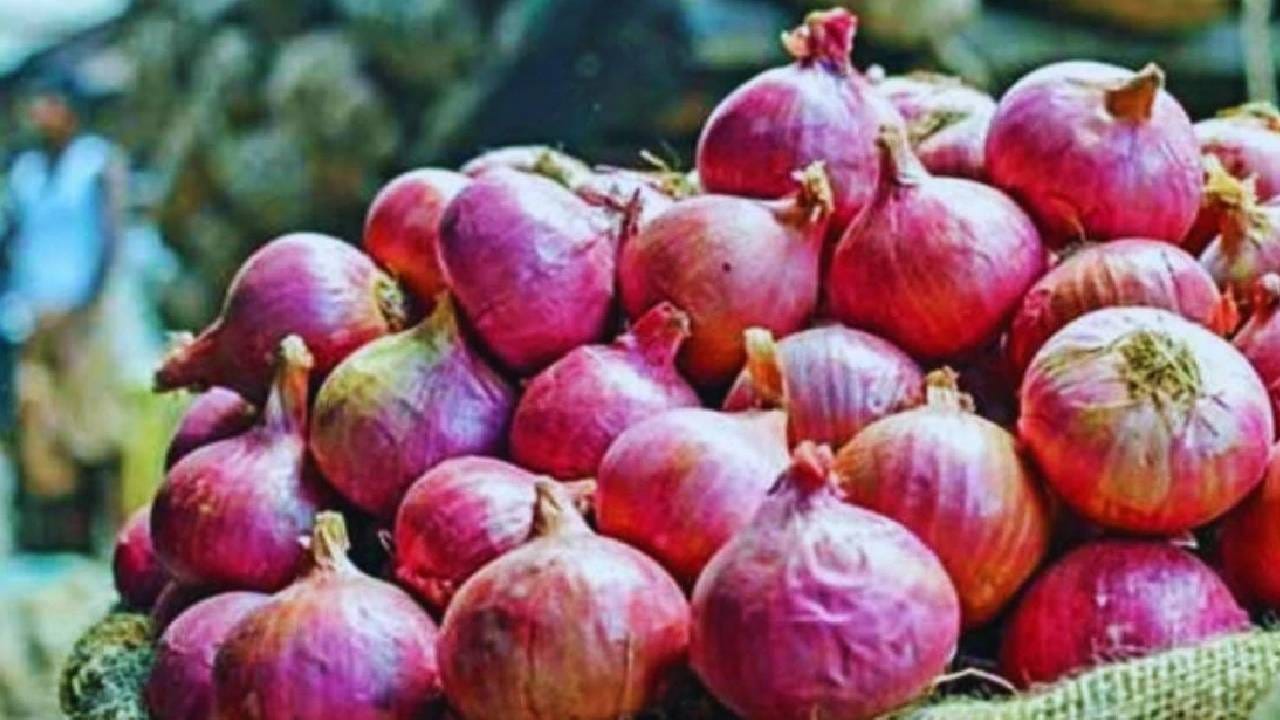 सर्वांनाच माहिती आहे की, कांदा आपल्या आरोग्यासाठी फायदेशीर ठरतो. कांद्यात अनेक पोषक तत्वे आहेत, जे तुमच्या शरीरासाठी थेटपणे फायदेशीर आहेत. 