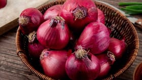 उन्हाळ्यात करा या घटकाचा दररोजच्या आहारात समावेश, थेट हे मोठे फायदे....