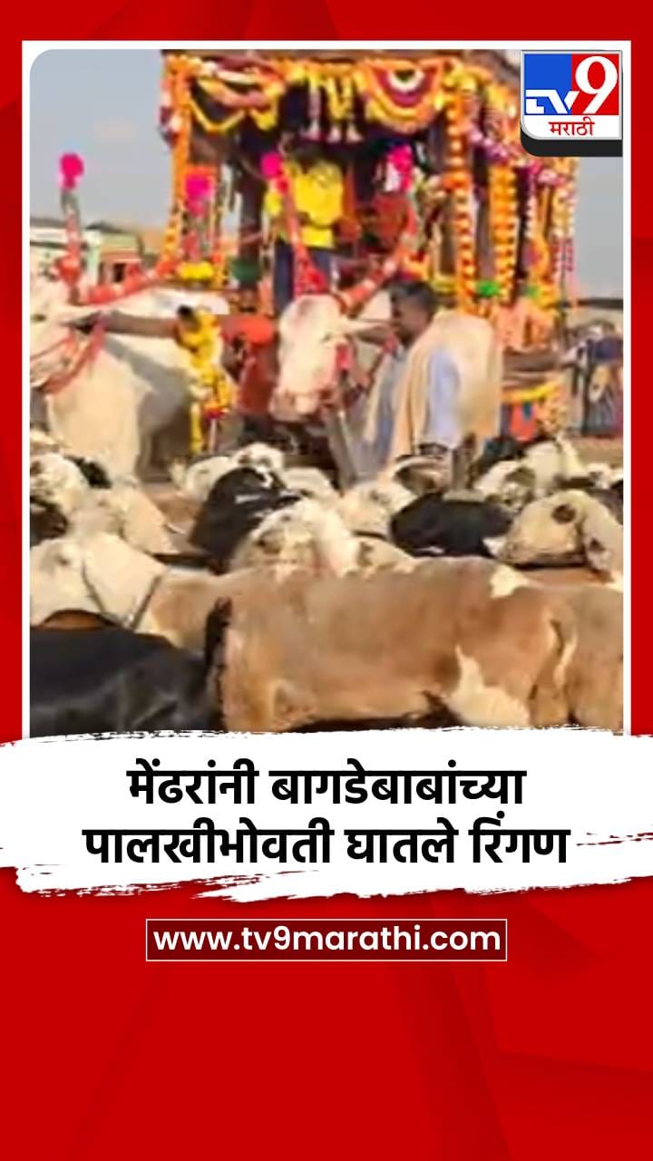 मेंढरांनी बागडेबाबांच्या पालखीभोवती घातले रिंगण