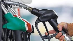 एक लीटर पेट्रोलमागे सरकार किती रुपये कमवते? जाणनू घ्या.