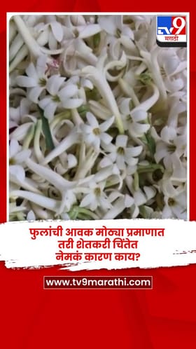 फुलांची आवक मोठ्या प्रमाणात तरी शेतकरी चिंतेत, नेमकं कारण काय?