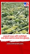 अवकाळी पाऊस आणि गारपिटीमुळे प्रचंड मोठ्या प्रमाणात शेतकऱ्यांचा नुकसान.