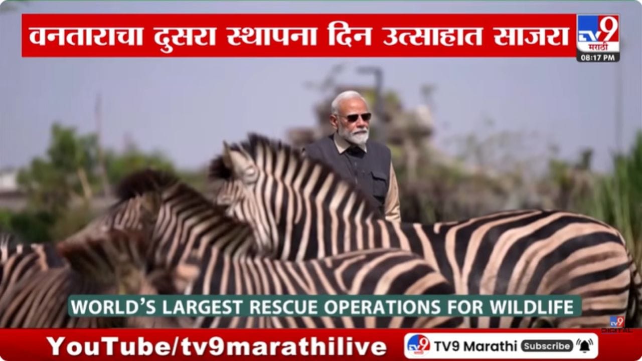 वनताराचा दुसरा स्थापना दिन; मोदींच्या प्रेरणेने संवर्धन वाटचाल अधिक बळकट वनताराचा दुसरा स्थापना दिन; मोदींच्या प्रेरणेने संवर्धन वाटचाल अधिक बळकट