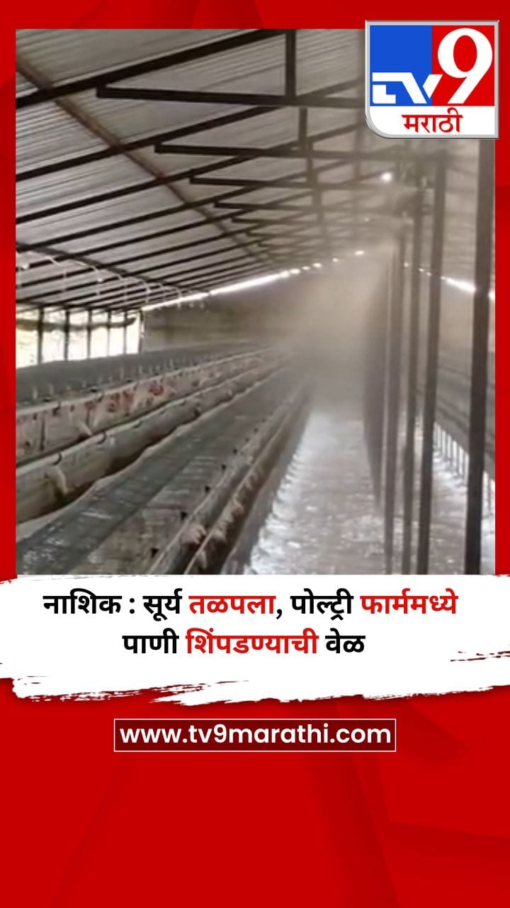नाशिक : सूर्य तळपला, पोल्ट्री फार्ममध्ये पाणी शिंपडण्याची वेळ