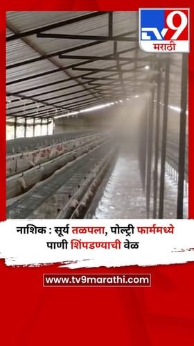 नाशिक : सूर्य तळपला, पोल्ट्री फार्ममध्ये पाणी शिंपडण्याची वेळ