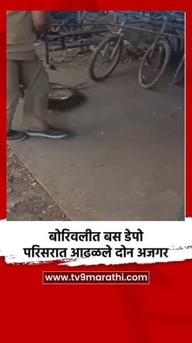 बोरिवलीत बस डेपो परिसरात आढळले दोन अजगर