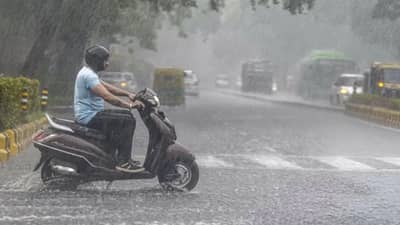 IMD Weather Update : पुढील 48 तासांमध्ये महाराष्ट्रावर मोठं संकट, 7 जिल्ह्यांना हाय अलर्ट, पावसाचा मोठा इशारा