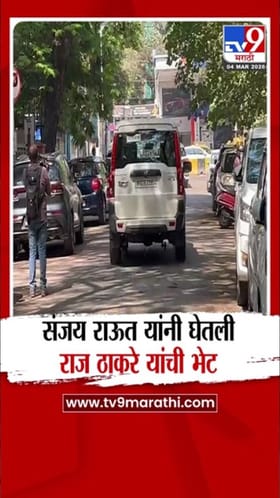 संजय राऊत आणि राज ठाकरेंच्या भेटीत नेमकं काय घडलं?.