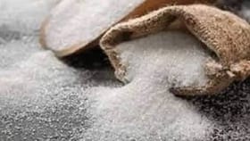 फक्त ही एक गोष्ट 10 दिवसांसाठी सोडा, शरीरात होतील असे चमत्कार की...