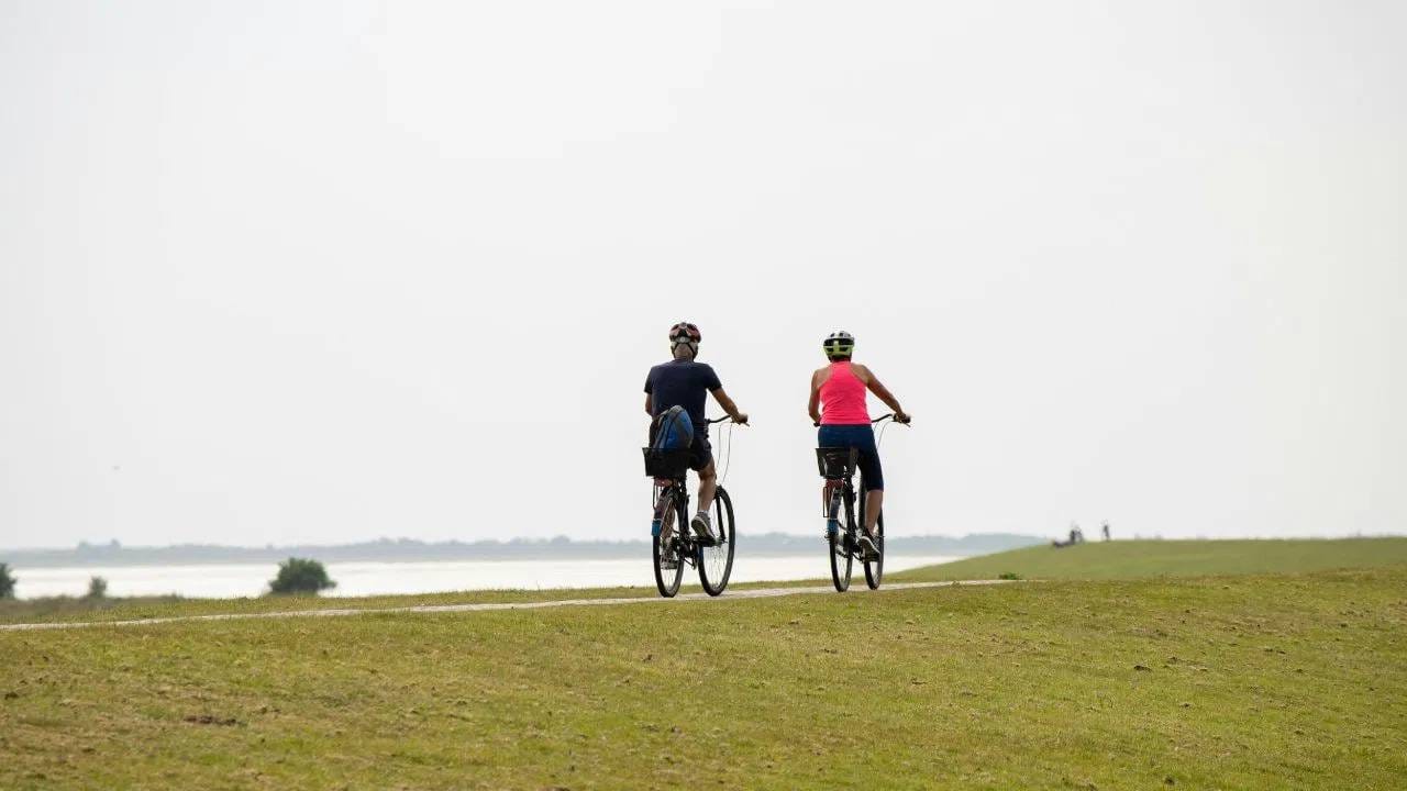  जीवनातील महत्त्व: पण अश्रू किंवा घामाचा हा खारटपणा केवळ चवीसाठीच नाही तर शरीराच्या आरोग्यासाठी देखील महत्वाचा आहे.  सोडियम आणि इलेक्ट्रोलाइट्स मेंदू, स्नायू आणि मज्जातंतूंच्या सिग्नलसाठी महत्वाचे आहेत. योग्य प्रमाणात असल्यास, ते शरीराचे तापमान नियंत्रण, पाण्याचे संतुलन आणि पेशींच्या दुरुस्तीमध्ये मदत करते. (Image Credit Source: Social Media)