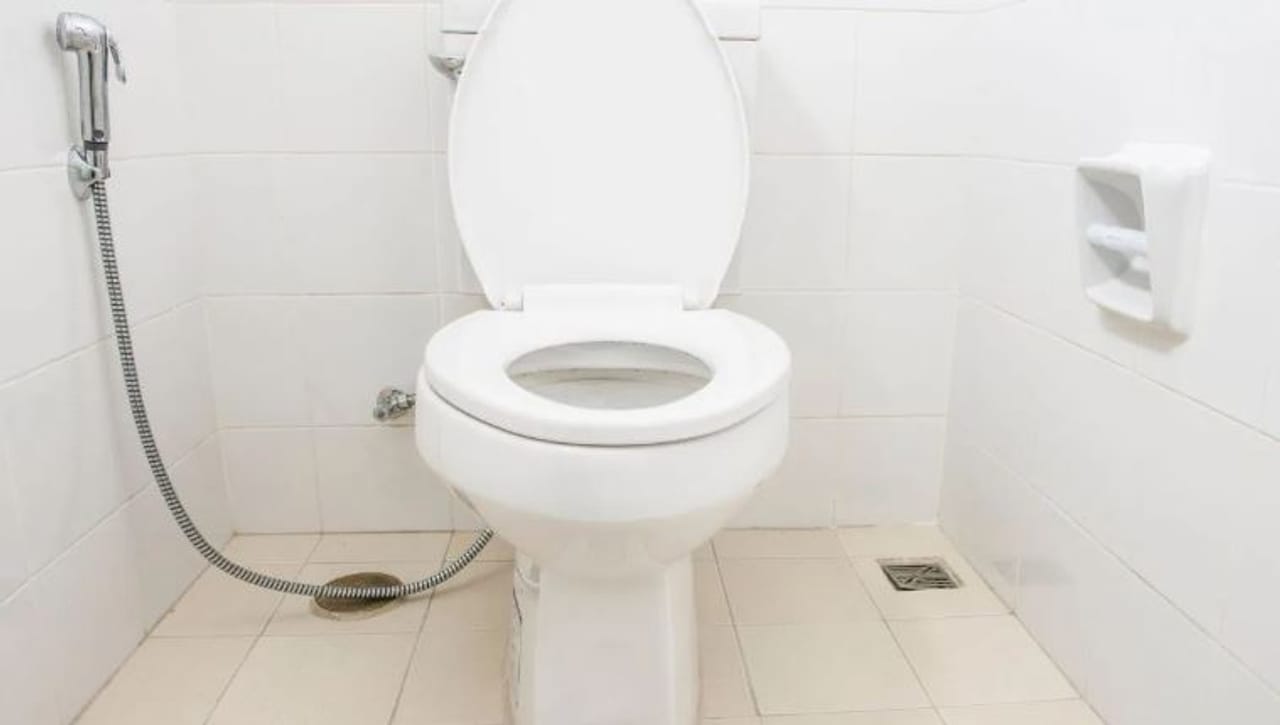 या जगात वेगवेगळ्या लोकांच्या वेगवेगळ्या आस्था आहेत. काही लोक मंदिरातील मूर्तीची पूजा करतात. तर काही लोक वृक्षांना, निसर्गाची पूजा करतात. परंतु चीनमध्ये एक अजब परंपरा आहे. इथे लोक चक्क टॉटलेटची पूजा करतात. 