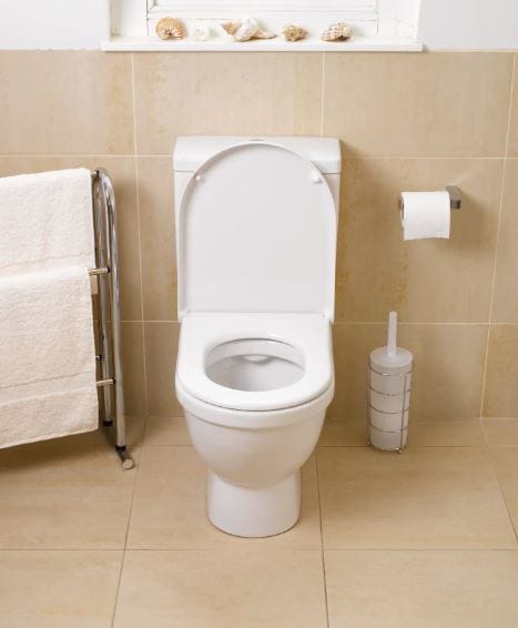 चीनच्या उत्तर आणि दक्षिण प्रदेशात जिगू नावाच्या देवाची पूजा केली जाते. याच देवीला पर्पल लेडी असेही म्हटले जाते. मान्यतेनुसार या देवीला महिलांची रक्षक आणि घरात सुख शांती आणणारी देवी मानली जाते. घराच्या प्रत्येक कोपऱ्यात एक दैवी शक्ती असते, असे तेथील लोक मानतात. त्यामुळे त्या भागात टॉयलेटचीही पूजा केली जाते. 