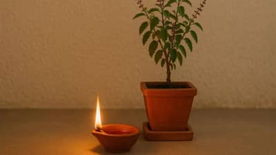 तुळशीजवळ दिवा लावण्याची नेमकी वेळ कोणती? नियम नक्की काय?