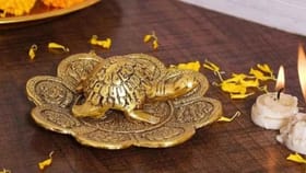 घरात धातूचे कासव ठेवताय, पण माहितीये का योग्य दिशा?.