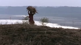 17 मिनिटांचा बलात्काराचा सीन, प्रदर्शित होताच चित्रपट वादात सापडला.