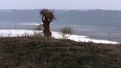 17 मिनिटांचा बलात्काराचा सीन, प्रदर्शित होताच चित्रपट वादात सापडला, घातली बंदी, 2 वर्षानंतर प्रदर्शित होताच...