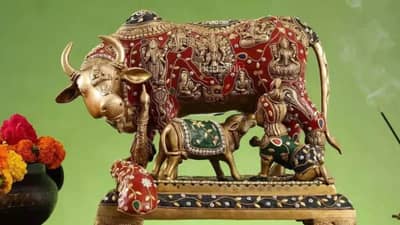 Vastu Shastra : या पाच प्राण्यांच्या प्रतिमा घरात ठेवा, आयुष्यात कधीही पैसा कमी पडणार नाही