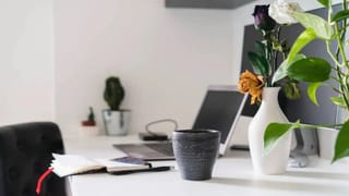 Vastu Shastra : व्यवसाय, नोकरीमध्ये अडथळे येतायेत? मग शनिवारी करा हा सोपा उपाय