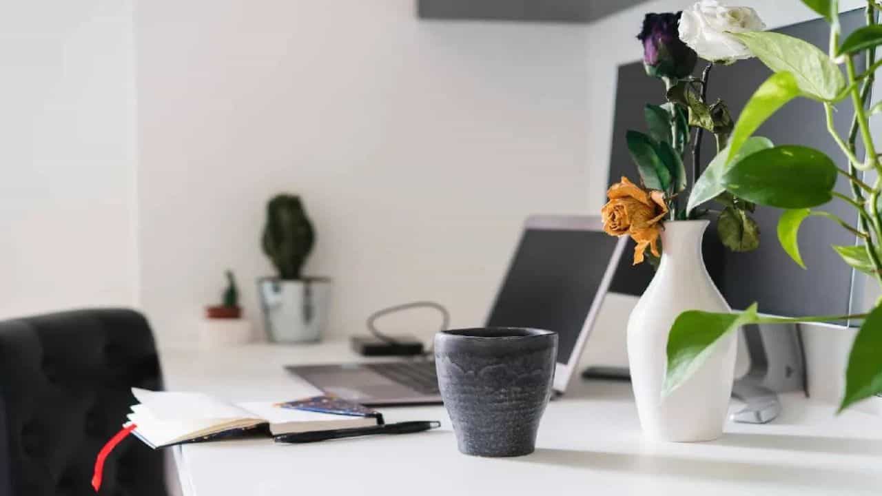 Vastu Shastra : व्यवसाय, नोकरीमध्ये अडथळे येतायेत? मग शनिवारी करा हा सोपा उपाय