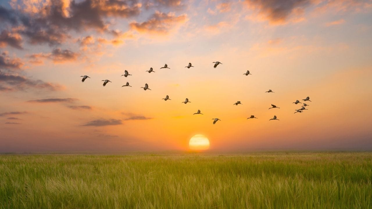 ( डिस्क्लेमर : वरील माहिती उपलब्ध स्रोतावरून देण्यात आलेली आहे. याच्या तथ्यांबद्दल आम्ही कुठलाही दावा करीत नाही, तसेच अंधश्रद्धेला दुजोरा देत नाही)