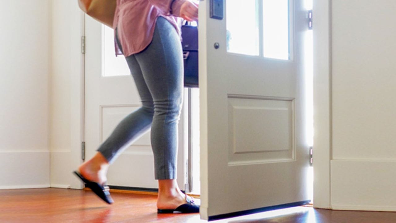 हिंदू धर्मात आणि वास्तुशास्त्रात शकुन-अपशकुनाला विशेष महत्त्व आहे. एखाद्या महत्त्वाच्या कामासाठी घरातून बाहेर पडताना काही विशिष्ट गोष्टी किंवा पक्षी दिसणे हे शुभ संकेत मानले जातात. असे मानले जाते की, हे संकेत कार्यसिद्धी आणि येणाऱ्या सकारात्मक काळाची पूर्वसूचना देतात.