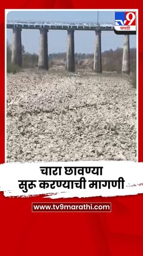 वाढत्या तापमानाचा फटका आता पशुधनालाही