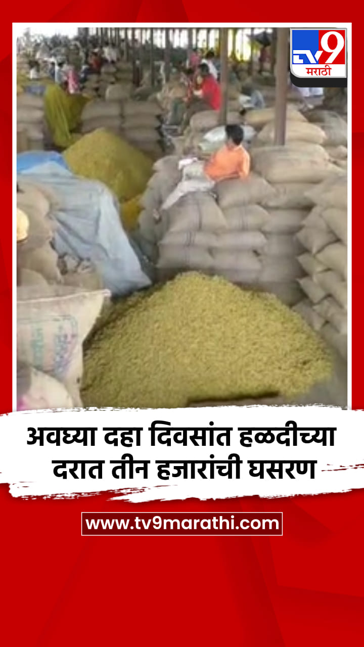 अवघ्या दहा दिवसांत हळदीच्या दरात तीन हजारांची घसरण; शेतकरी चिंतेत