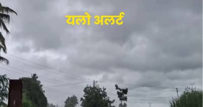 Weather Alert : पुढचे तीन ते चार दिवस संकटाचे, राज्याच्या काही भागात यलो अलर्ट; यावेळी वारेही...