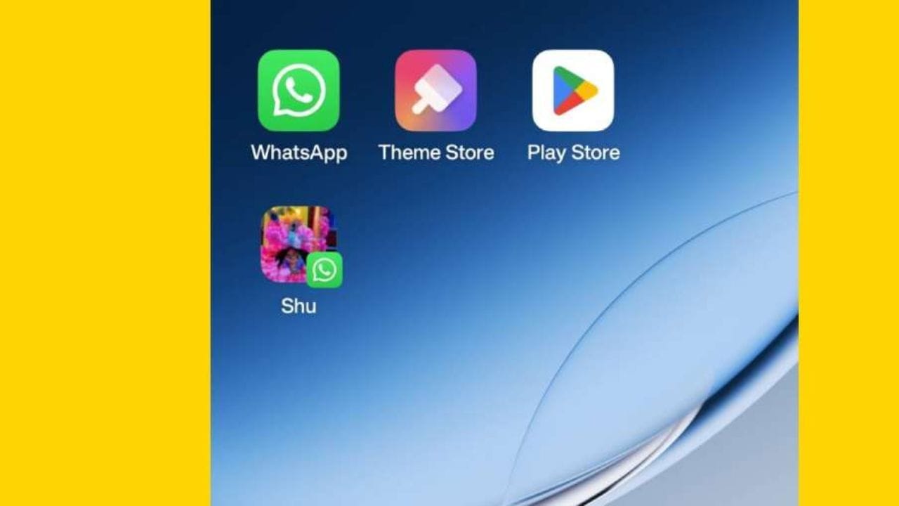 दरम्यान व्हॉट्सअ‍ॅप हे केवळ भारतातच नाही तर जगभरात सर्वाधिक वापरले जाणारे अ‍ॅप आहे. एकट्या भारतात ५५ कोटींहून अधिक युजर्स हे व्हॉट्सअॅपचे डेली अ‍ॅक्टिव्ह युजर्स आहेत. तर जागतिक स्तरावर हा आकडा २.२१ अब्जांच्या पार आहे.