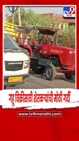 कारंजा कृषी उत्पन्न बाजार समितीत गहू विक्रीसाठी शेतकऱ्यांची मोठी गर्दी.