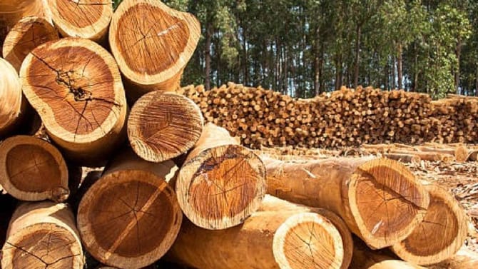 कुणालाच वाटलं नव्हतं अशी वेळ येईल... मुंबईच्या वेशीवरच संकट