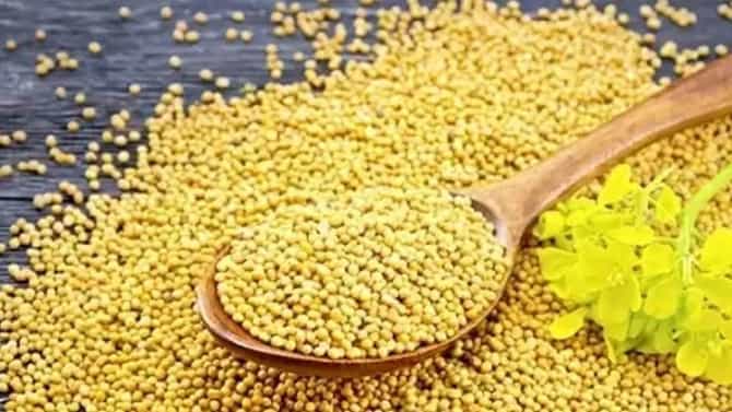 घराच्या मुख्य दरवाजावर टाका फक्त पिवळी मोहरी; चमत्कार पाहून व्हाल थक्क!